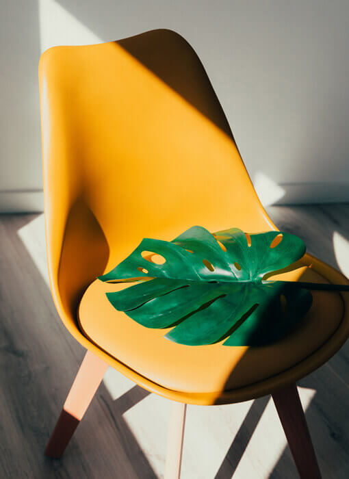 Product Launch Video